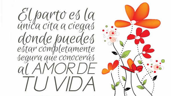 conoceralamor