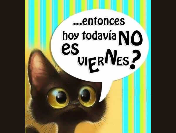 undiaparamañana