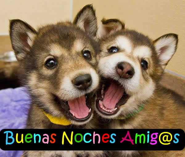 buenas