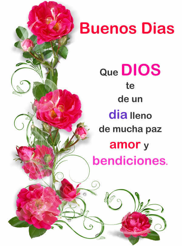 lunesbonito