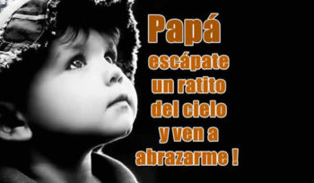 frases dia del padre
