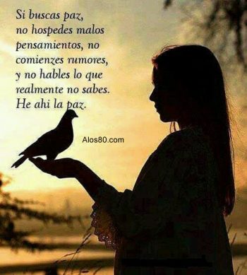paz y amor