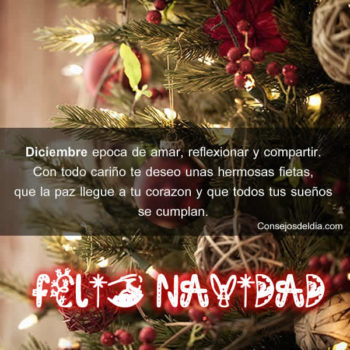 feliz navidad