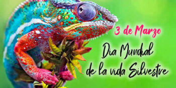dia de la vida silvestre