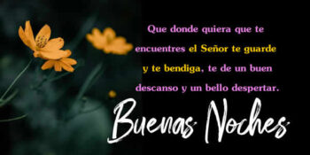 mensajes de buenas noches