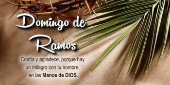 frases domingo de ramos